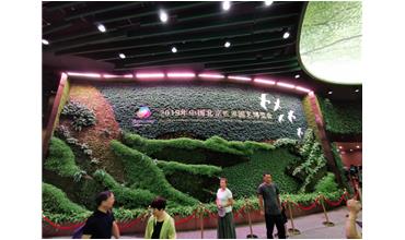 2019北京世園會，我們來啦