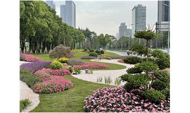 來現場打卡，感受“美麗無錫”的美好